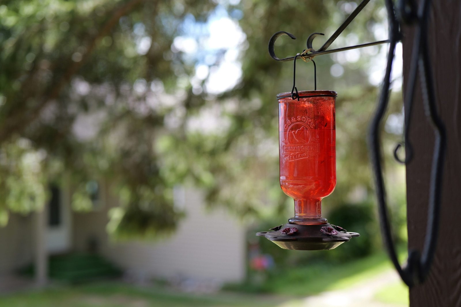 A bird feeder hanging from a tree outside